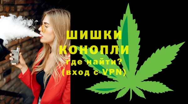 гашик Богородск