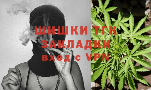 тгк Михайловск