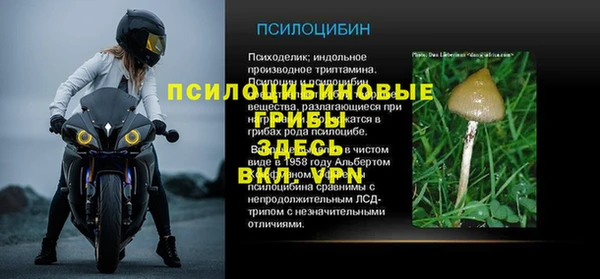 гидропоника Михайлов
