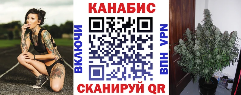 Марихуана план  Соль-Илецк 